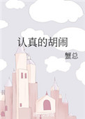 认真的胡闹小说