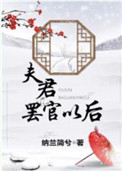 《夫君罢官以后》