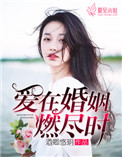 爱在婚姻燃尽时小说