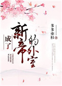 《成了新帝的外室》