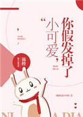 小可爱，你假发掉了小说