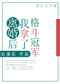 离婚后我拿了格斗冠军小说