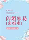 闪婚容易离婚难小说