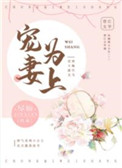 宠妻为上图片
