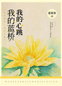 我的蓝桥小说