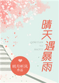 晴天遇暴雨小说
