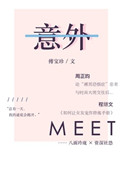 意外小说