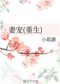 《妻宠(重生)》
