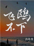 《飞鸥不下》