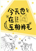 《今天也在互相掉毛》