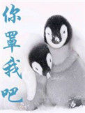 《你罩我吧》