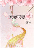 《宠妾灭妻》小说