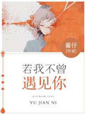 《若我不曾遇见你》