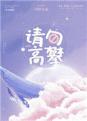 《请勿高攀》小说