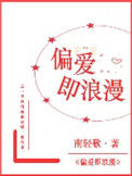 偏爱即浪漫小说