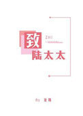 致陆太太小说