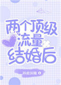 《两个顶级流量结婚后》