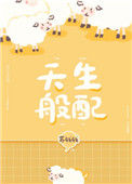 《天生般配》小说