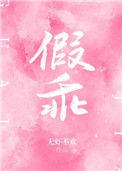 假乖小说
