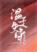 温柔失守小说
