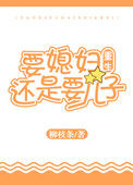 《要媳妇还是要儿子[重生]》