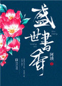 《盛世书香》小说