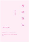 两块石头小说