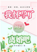 我怀孕了,所以离婚吧小说