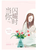 当你闪耀时小说
