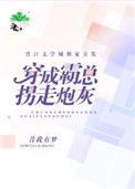 《穿成霸总拐走炮灰》小说