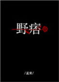 野痞小说