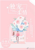 独宠柔情小说