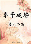 奉子成婚小说