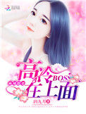 《麻辣甜妻：高冷BOSS在上面》