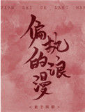 《偏执的浪漫》小说