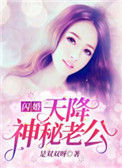 闪婚，天降神秘老公！小说