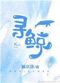 《寻鲸》小说
