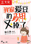 《我家爱豆的马甲又掉了》小说