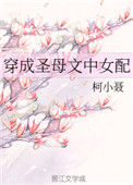 《穿成圣母文中女配》