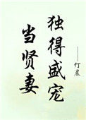 《当贤妻独得盛宠》