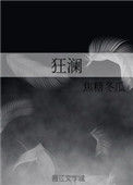 《狂澜》小说