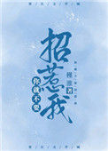 《你就不要招惹我》