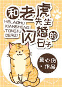 《和老虎先生闪婚的日子》小说