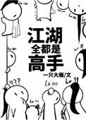《江湖全都是高手》小说