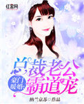 《豪门暖婚：总裁老公霸道宠》