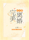 《完美离婚[娱乐圈]》小说