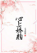 《心上娇颜》小说