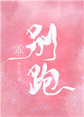 《乖,别跑》小说
