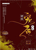 硬核宠后手札图片
