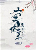 《太子妃佛系出走中》小说
